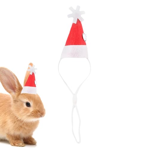 Dinchaakuarry Guinea Weihnachtsmütze, Kleintierhut Kostüm, Rot Kleine Weihnachten Haustier Hut mit Verstellbarem Gummiband für Hamster, Meerschweinchen, Chinchilla von Dinchaakuarry