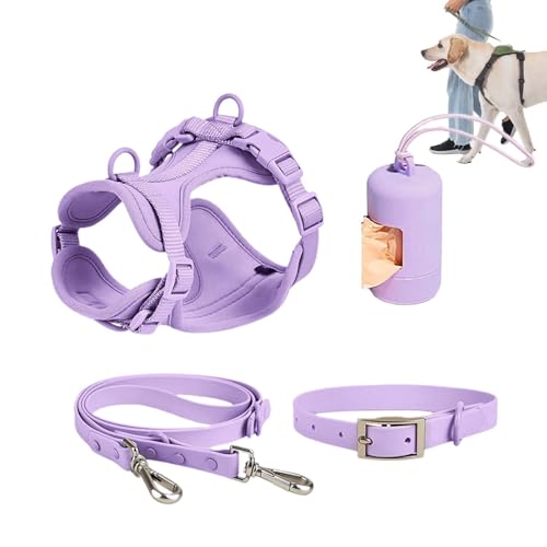 Hunde-Hebegeschirr – verstellbares Hundehalsband, Hunde-Gehgeschirr, stilvolles Hundehalsband | Kombination aus Hundegeschirr und Leine, modische Haustierleine mit Geschirr-Set, verstellbares Hundelei von Dinchaakuarry