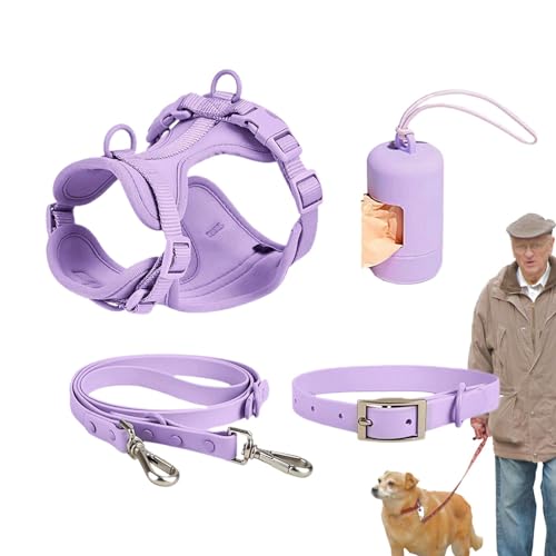 Hunde-Hebegeschirr – verstellbares Hundehalsband, Hunde-Gehgeschirr, stilvolles Hundehalsband | Kombination aus Hundegeschirr und Leine, modische Haustierleine mit Geschirr-Set, verstellbares Hundelei von Dinchaakuarry