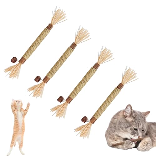 Dinghaole 4 Stück Katzenminze Sticks, Kausticks für Katzen, Katzenzahnbürste für Katzen, Katzen Kauhölzer Silvervine Sticks zur Katzen Zahnpflege und Gegen Mundgeruch von Dinghaole