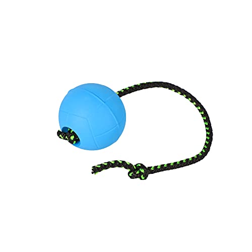 Dingo BIBI Ball 30 cm Griff Schwimmend auf Wasser Gummihundespielzeug mit durch das Innere gezogenem Seil für das Training von Hunden, Abrufen, Agility, Belohnung, Spaß Blau 17256 von Dingo Waldemar Rutkowski