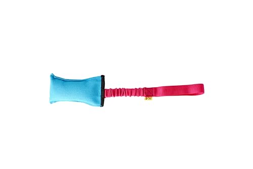 Dingo Beisswurst Agility Hundespielzeug für Training, Apportieren, Wassersport, Zerrspiele, Spielen, 15 x 8 cm, leichtes und schwimmfähiges Zerrspielzeug Blau mit rosa Bungee-Griff 15592 von Dingo Waldemar Rutkowski