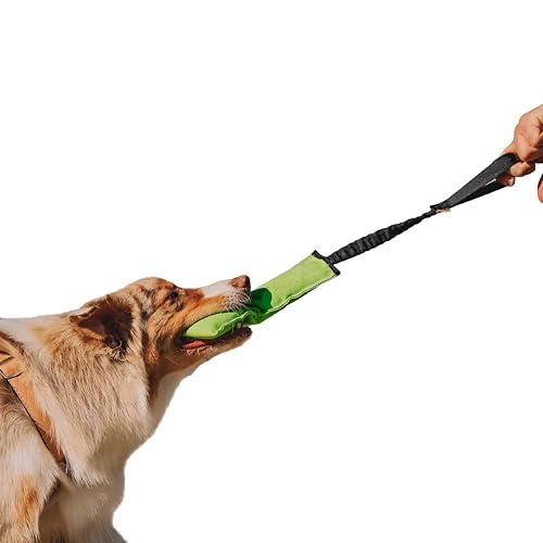 Dingo Beisswurst Agility Hundespielzeug für Training, Apportieren, Wassersport, Zerrspiele, Spielen, 27 x 8 cm, leichtes und schwimmfähiges Zerrspielzeug Grün mit schwarzem Bungee-Griff 15597 von Dingo Waldemar Rutkowski