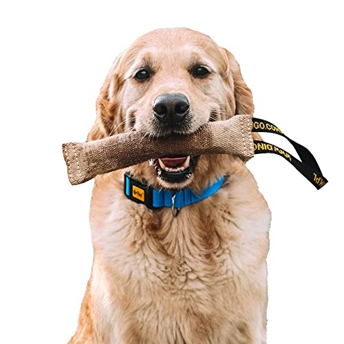 Dingo Beisswurst aus Jute 1 Griff Hundetraining Hundespielzeug Spiel mit Hund Apport Ausbildung handgefertigter Länge 28 cm,Breite 4 cm natürliche Farbe 10518 von Dingo Waldemar Rutkowski