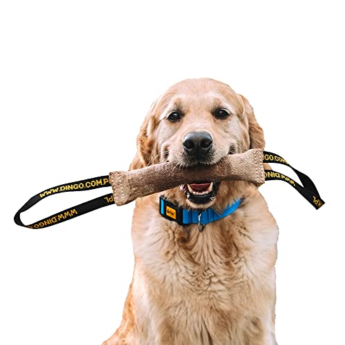 Dingo Beisswurst aus Jute 2 Griff Hundetraining Hundespielzeug Spiel mit Hund Apport Ausbildung handgefertigter Länge 28 cm Breite 4 cm natürliche Farbe 10594 von Dingo Waldemar Rutkowski