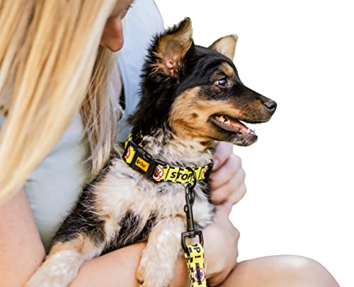 Dingo Do Not Pet Halsband aus Material, verstellbar, sichere Kontrolle, Pflege für besondere Hundebedürfnisse, Schwarz/Gelb, Größe M 15360 von Dingo Waldemar Rutkowski