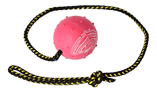 Dingo Gummiball mit Glocke Kordel 60 cm Mittel Trainingsball zum Apportieren 17280 von Dingo Waldemar Rutkowski