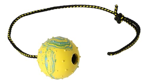 Dingo Gummiball mit Kordel 60 cm Groß Trainingsball zum Apportieren 17298 von Dingo Waldemar Rutkowski