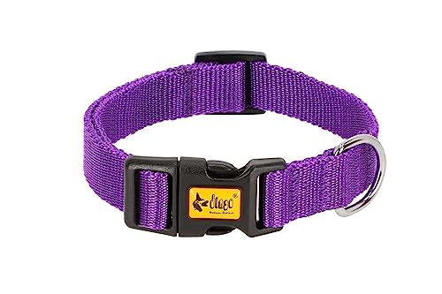 Dingo Halsband Energy Regular 1,0 cm x 30 cm (20-28 cm) Band Kunststoffverschluss Violett 14764 von Dingo Waldemar Rutkowski