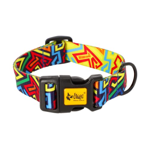 Dingo Halsband Regulär Klickverschluss, Kunststoff wasserdicht Hundehalsband City Graffiti 3,0 x 60 cm (35-55 cm) 15382 von Dingo Waldemar Rutkowski