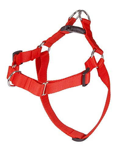 Dingo Hundegeschirr Große 60 (48-64 cm) Breite 1,6 cm Rot kein Ziehen Geschirr aus Polypropylenband Anti Zug Geschirr No Pull für Ihren Hund Brustgeschirre Rot von Dingo Waldemar Rutkowski