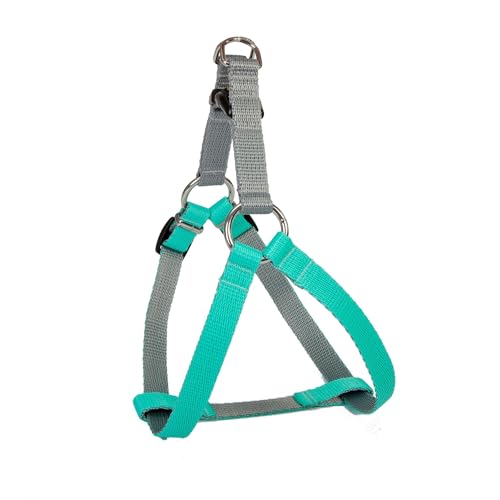 Dingo Hundegeschirr Walk-in/Step-in 'fred' Energy-Silver Kollektion Hundegeschirre aus Band Große L Breite Band 2,0 cm Brustumfang 52-74 cm Mint-Grau 94672 von Dingo Waldemar Rutkowski