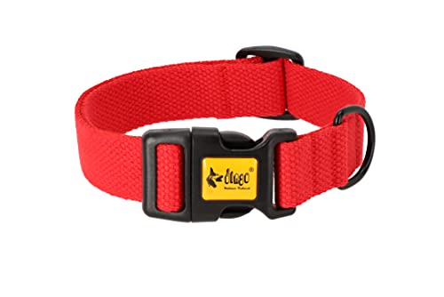 Dingo Hundehalsband ist aus Baumwollband Verstellbar ideal für jeden Hund klick-Verschluss Leicht zu reinigen 1,6x35 cm (20-32 cm) Rot 14806 von Dingo Waldemar Rutkowski