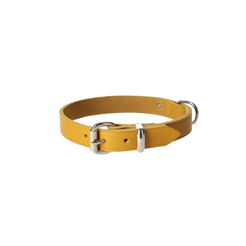 Dingo Lederhalsband Natural Eleganz Premium Hundehalsband Naturleder Handgefertigt Verchromte Schnalle Langlebigkeit 1,6x40 cm Curry 11090 von Dingo Waldemar Rutkowski