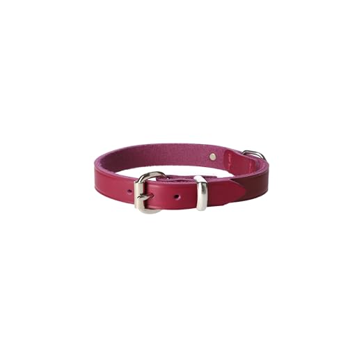 Dingo Lederhalsband Natural Eleganz Premium Hundehalsband Naturleder Handgefertigt Verchromte Schnalle Langlebigkeit 1,6x40 cm Violett 11089 von Dingo Waldemar Rutkowski