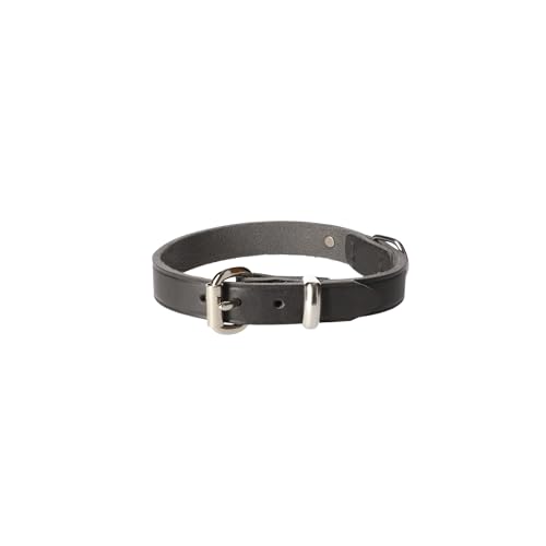 Dingo Lederhalsband Natural Eleganz Premium Hundehalsband Naturleder Handgefertigt Verchromte Schnalle Langlebigkeit 2,0x50 cm Grau 11092 von Dingo Waldemar Rutkowski