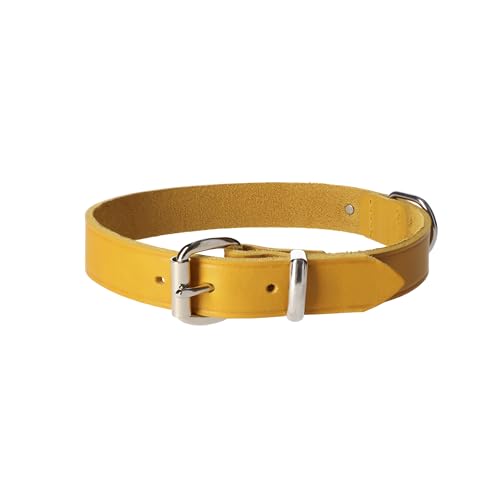 Dingo Lederhalsband Natural Eleganz Premium Hundehalsband Naturleder Handgefertigt Verchromte Schnalle Langlebigkeit 2,5x60 cm Curry 11098 von Dingo Waldemar Rutkowski