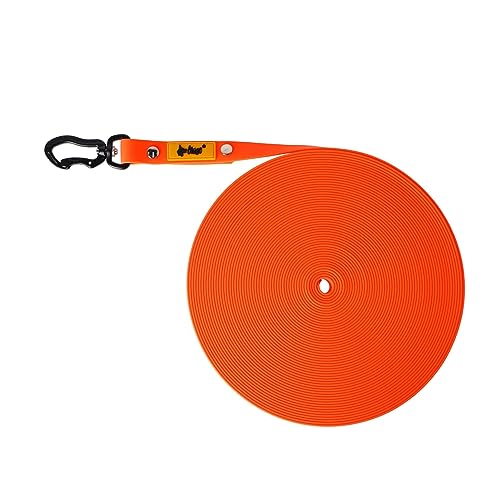 Dingo Trainingsleine für Hunde Hundespaziergang Gehorsamstraining Karabinerhaken universaler praktisch Breite 1,6 cm Länge 10 m ohne Griff Orange 10176 von Dingo Waldemar Rutkowski