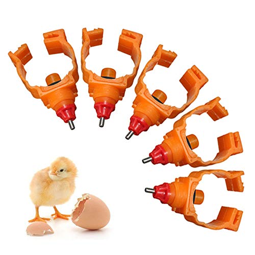 Geflügeltränken-Nippel-Set, Metall, Geflügel, Fütterungsnippel für Huhn, Ente, Geflügel, Trinkteile, 10 Stück von Diogeynu