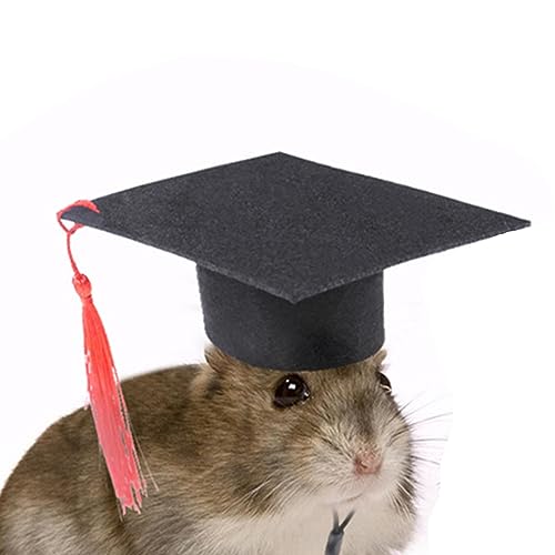 Bachelor Hat - Hunde und Hamster Bachelor Kostüm Caps - Weiche Hamster Graduation Hüte mit Roter Quaste Urlaub Zubehör Hunde Katzen Hamster von Dirfuny