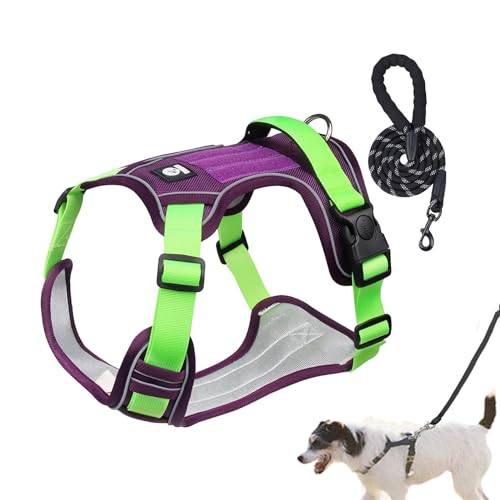 Hundegeschirr für große Hunde, atmungsaktiv, reflektierend, verstellbares Hundegeschirr, flexibles Hundegeschirr, Hundegeschirr, Halsband-Set für Spaziergänge, Joggen, Wandern von Dirfuny