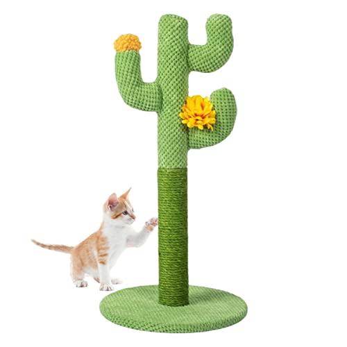 Katzenkratzbaum Kaktusform Kätzchen Kratzbaum Sisal Kratzbäume für Kätzchen oder kleinere Katzen (60 cm hoch für Kätzchen, Grün) von Dirfuny