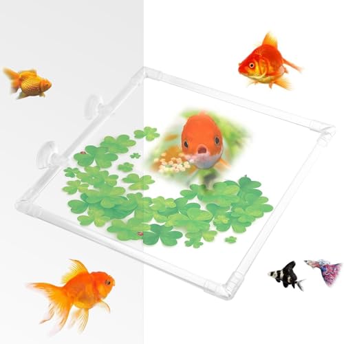 Schwimmende Pflanzenringe für Aquarien, Fischfutterspender, Pflanzenringe, Aquarium-Futterspender, Pflanzenkorral-Futterspender aus Acryl, Betta-Futterring von Dirfuny