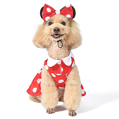 Disney for Pets Minnie Mouse Halloween-Kostüm für Hunde, Größe M, Disney-Halloween-Hundekostüme, lustige Haustierkostüme, offiziell Lizenziertes Disney-Hunde-Halloween-Kostüm von Disney