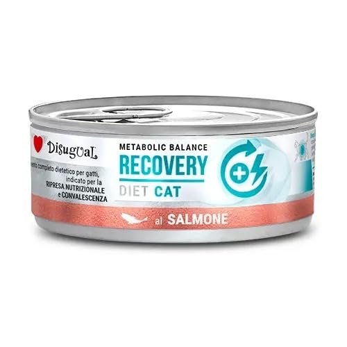 DISUGUAL Diet Cat Recovery Lachs, 12 x 85 g von Disugual Toy