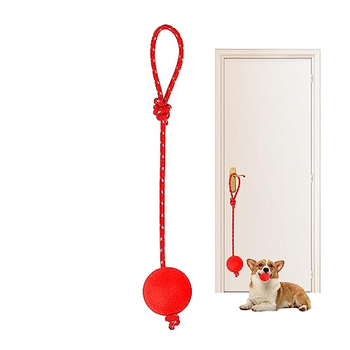 Ditanpu Ball mit Seil Hundespielzeug - Gummiseilbälle für Hunde,Wiederverwendbare Gummi-Hundeseilbälle für kleine, mittelgroße und große Hunde, Ball auf einem Seilhundespielzeug zum Trainieren von Ditanpu