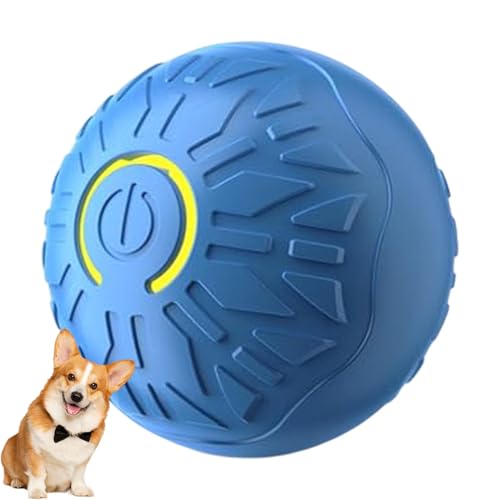 Beweglicher Hundeball, Automatisches Haustierspielzeug, Katzenunterhaltungsspielzeug, USB-betrieben, Nicht Leicht Zu Beschädigen, 5,3 Cm, Orange/Blau, Für Interaktive Haustierunterhaltung, Katzen, von Diuyzoc