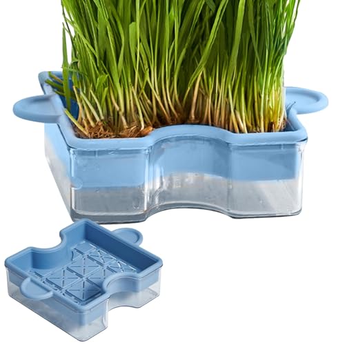 Diuyzoc Katzengrasbox Puzzle Design Katzenminze Pflanzgefäß Multifunktionale Soilless Pflanzbox Hydroponik Katzengras Tablett Karton Katzenhaus Katzenkratzer Pad Einfach zu Bedienen Tragbar für von Diuyzoc