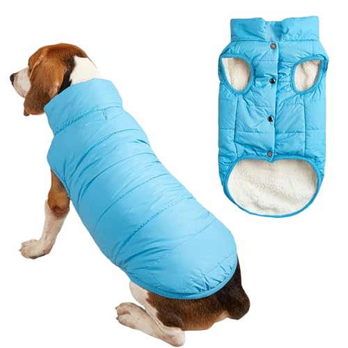 2-lagige Fleece-gefütterte, winddichte Hundejacke, weicher Thermo-Hundemantel für kaltes Wetter mit verstellbaren Trägern, warmer Wintermantel für kleine Hunde und Welpen, Seeblau, Größe L von Dixacyer