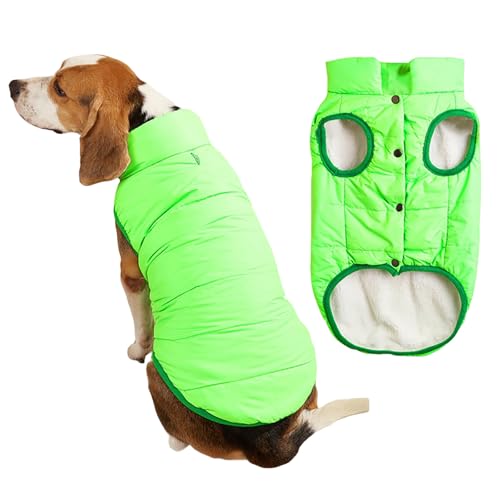 2-lagige Fleece-gefütterte, winddichte Hundejacke, weicher Thermo-Hundemantel für kaltes Wetter mit verstellbaren Trägern, warmer Wintermantel für kleine Hunde und Welpen (Hellgrün, Größe 3XL) von Dixacyer