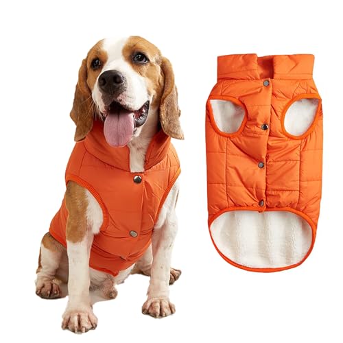 2-lagige Fleece-gefütterte, winddichte Hundejacke, weicher Thermo-Hundemantel für kaltes Wetter mit verstellbaren Trägern, warmer Wintermantel für kleine Hunde und Welpen (Orange, Größe L) von Dixacyer