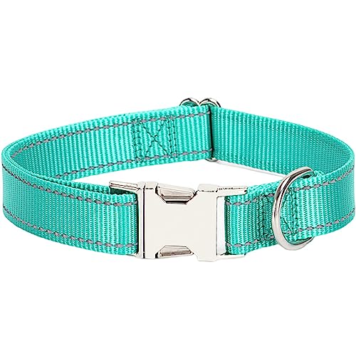 Reflektierendes Hundehalsband mit Metallschnalle, weich, atmungsaktiv, verstellbar, Nylon, Haustierhalsband, verstellbar für kleine, mittelgroße und große Hunde (Grasgrün, Größe XS: 1,5 x 30 cm) von Dixacyer