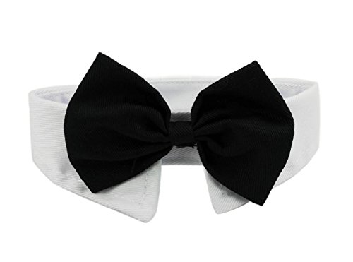 Diyafas 2 x Baumwolle Haustier Fliege Hundekrawatte Katzen Welpen Formelle Halsband Halsketten Einstellbar Krawatte Bowknot für Hochzeit Party von Diyafas