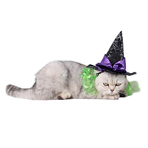 Halloween Haustier Hut Hund Katze Hexenhut Spinnennetz Hut mit Perücke für Haustier Katze Hund Welpen Halloween Cosplay Kostüm Haarschmuck Schwarz von Diyfixlcd