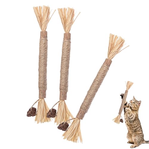 Djowyh Kaustangen für Katzen | Katzenminze Sticks | 3 Stück Katzen Kauhölzer Sticks für Katzen Zahnpflege & Gegen Mundgeruch Natürlich Sicher Katzensticks Kausticks von Djowyh