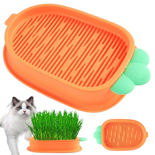 Dmkohi Hydroponik-Katzengraskasten, Katzengras-Wachstumsset, Katzengras-Keimschale Pflanzschalen für Katzengras Hydroponische Katzenminzenpflanze Cat Grass Planter für Katzenhunde Haustiere von Dmkohi