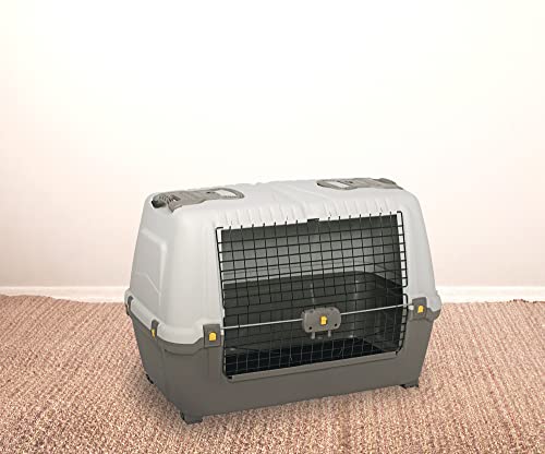 Dmora - Hunde- oder Katzentransportbox Gistel, starre Transportbox, tragbarer Käfig mit Matte, 100 % Made in Italy, Beige und Braun, 76 x 45 x 54 cm von Dmora