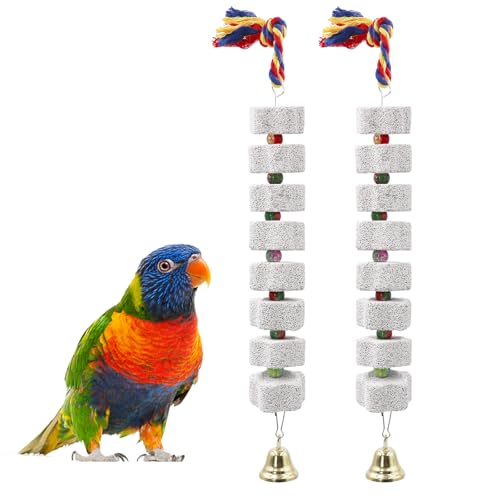 2 Pack Großes Vogelkauspielzeug, Papageienschnabel Schleifen Kalziumstein mit Glocken, Vogelkäfigzubehör, Käfigspielzeug für Nymphensittiche, Sittiche, Papageien, Wellensittiche, Ratten, Hamster, von Dnoifne