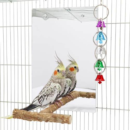 30 × 20 cm Großer Vogelspiegel mit Sitzstange, Vogelspiegel mit Schaukelglockenspiel, Vogelkäfigzubehör, geeignet für Wellensittich, Nymphensittich, Ziegensittich, Unzertrennliche von Dnoifne