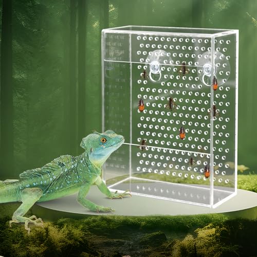 Bartdrachen Futterspender Chamäleon Käfer Schale Transparentk Acryl Reptilien Feeder Box Wandmontage Insekten Feeder mit Saugnäpfen Tank und Aquarium Zubehör für Eidechse Bartagamische Gecko Frosch von Dnoifne