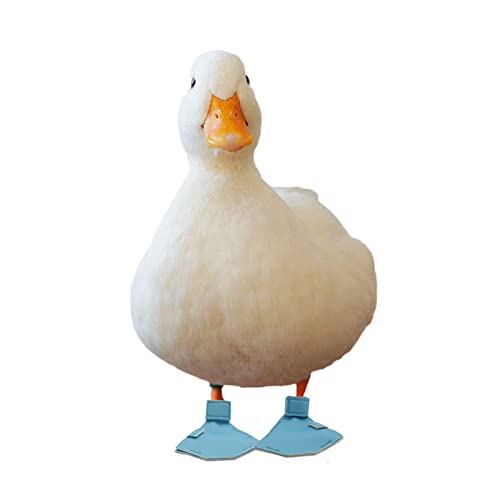 Dnoifne 1 Paar Wasservögel Bootie Schutzschuhe für Chicken Duck von Dnoifne