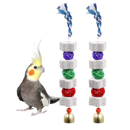 Dnoifne 2 Pack Vogelkauspielzeug, Papageienschnabel Schleifen Kalziumstein mit Glocken, Vogelkäfig Zubehör, Käfigspielzeug für Nymphensittiche, Sittiche, Papageien, Wellensittiche, Ratten, Hamster, von Dnoifne