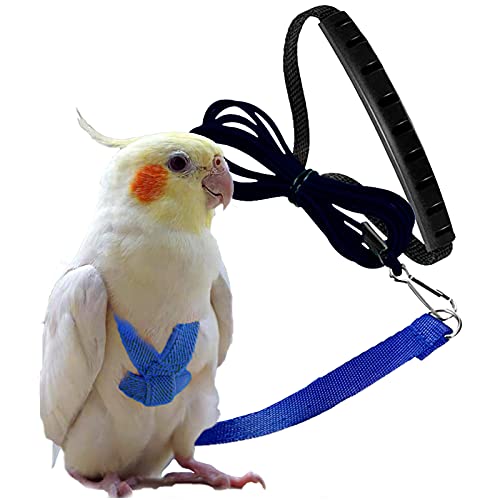 Dnoifne Pet Papagei Vogelgeschirr und Leine, verstellbares Trainings-Design, Anti-Bit, Vogel Nylonseil mit niedlichem Flügel für Papageien, geeignet für Mini Aras & gleiche Größe Vogel (blau) von Dnoifne