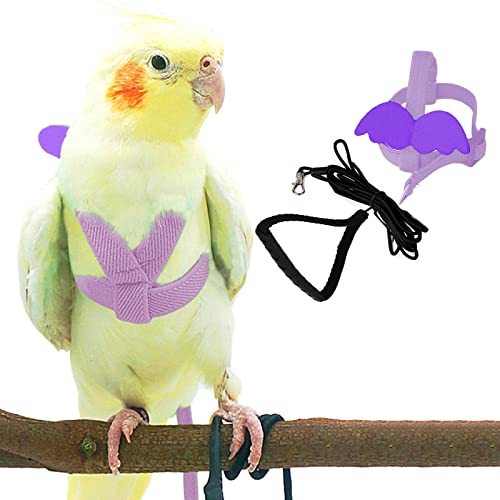 Dnoifne Pet Papagei Vogelgeschirr und Leine, verstellbares Trainingsdesign, Anti-Biss, Vogel-Nylonseil mit niedlichem Flügel für Papageien, geeignet für Scharlachrot, Keck, Mini-Aras und gleichgroße von Dnoifne