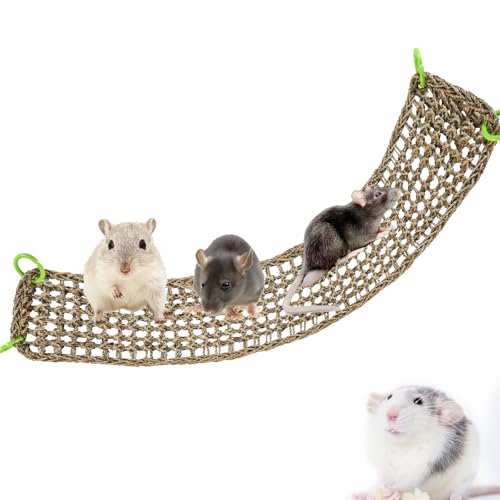 Dnoifne Ratten-Kletterspielzeug, Kleintiere, Seegras-Matte, Spielzeug, natürliches Seegras gewebtes Netz, Vogelhängematte mit Haken, Käfigzubehör für Katze, Hamster, Meerschweinchen, Papageien, von Dnoifne