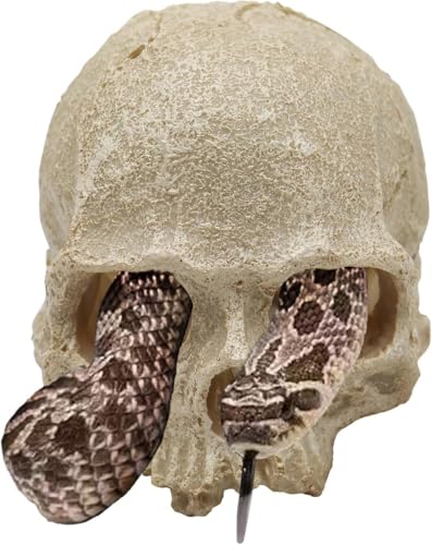 Dnoifne Schlangenhöhle, Reptilien-Aquarium Schädel-Deko, Resin-Skelettkopf Versteck, Terrarium-Zubehör, Reptilienverstecke für Fische, Bartagamen, Ballpythons, Leopardgeckos, 12 x 9 x 9,5 cm Dnoifne Schlangenhöhle, Reptilien-Aquarium Schädel-Deko, Resin-Skelettkopf Versteck, Terrarium-Zubehör, Reptilienverstecke für Fische, Bartagamen, Ballpythons, Leopardgeckos, 12 x 9 x 9,5 cm von Dnoifne